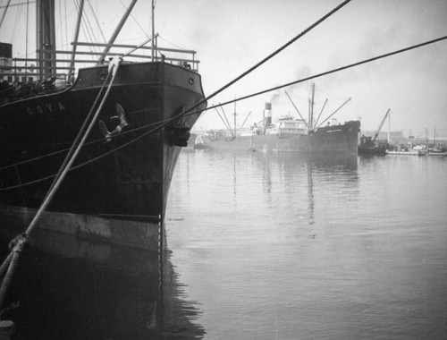 L. A. Harbor, the Coya moored