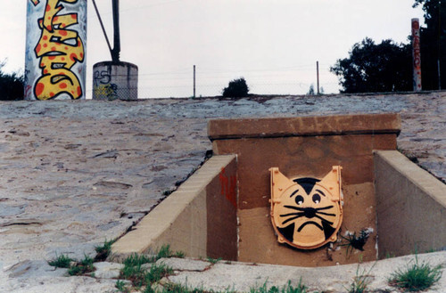 Los Angeles River cat