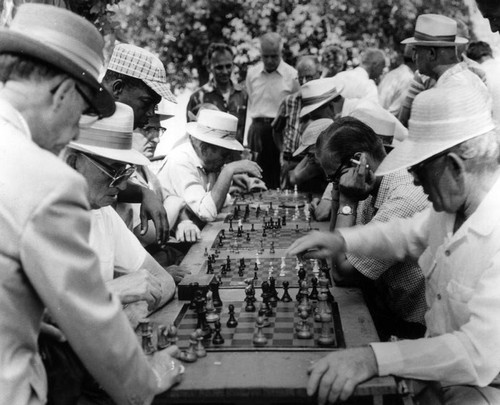 Chess players in the park