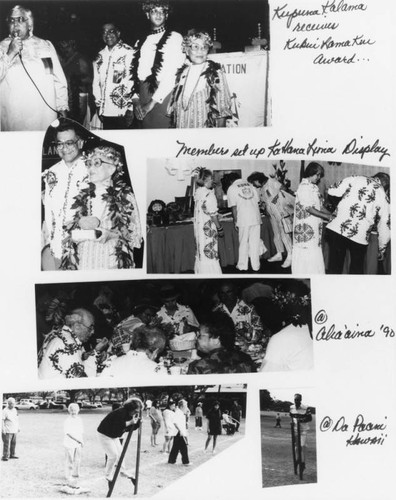 Hawaiian organization activities