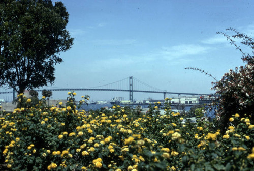 Vincent Thomas Bridge