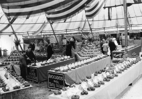 Avocado show, Whittier 1933, view 7