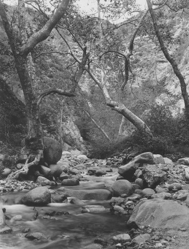 Stream in Eaton Canyon