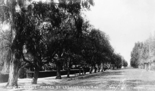 Unpaved West Adams Blvd