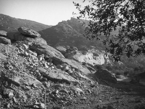 Stakes leading up hill in the Santa Susana Pass