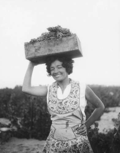 Women working in Gausti vineyard, view 16