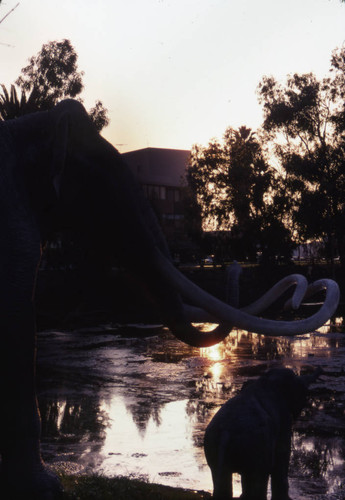 La Brea Tar Pits at sunset