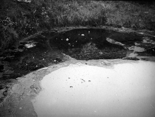 Natural bank of a pit at the La Brea Tar Pits