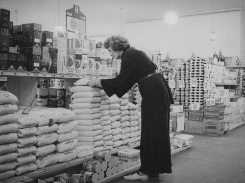 Ethel shopping at Hollywood Market