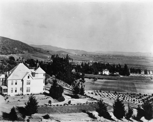 West Hollywood from Harper Ranch