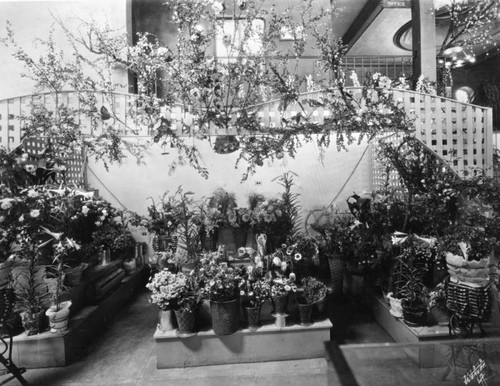 Hattem's Market interior