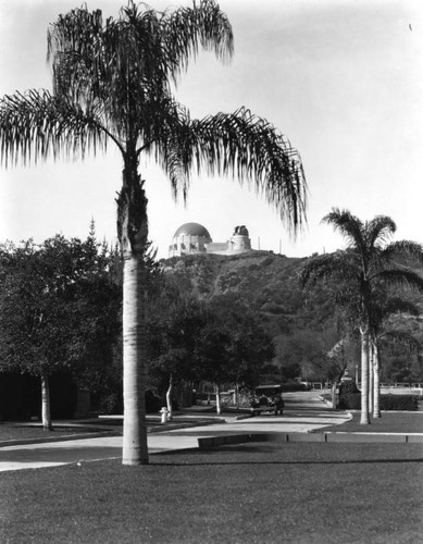 Griffith Observatory from below