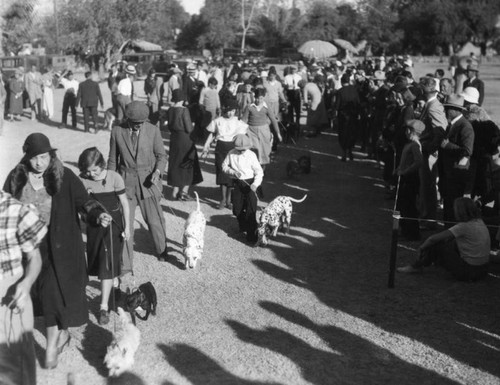 Dog show in Palm Springs