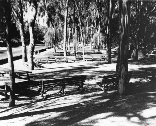 Picnic area in Elysian Park