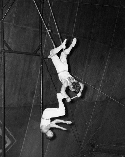 Circus aerialists