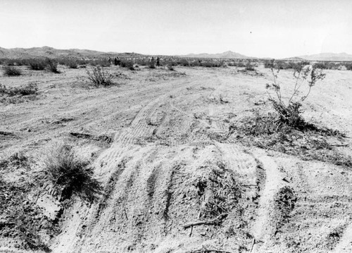 Managing off-road vehicles in Mojave Desert