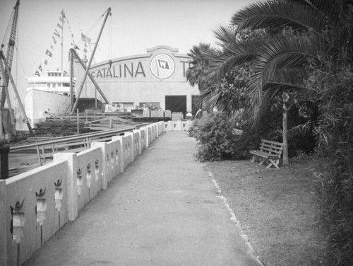 L. A. Harbor, S.S. Catalina and terminal