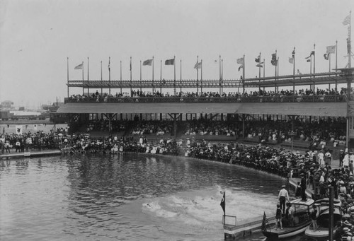 Swimming race at Venice of America