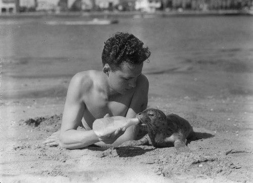 Boy feeding seal on beach