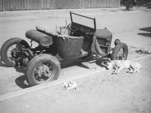 Sleeping dog in Boyle Heights