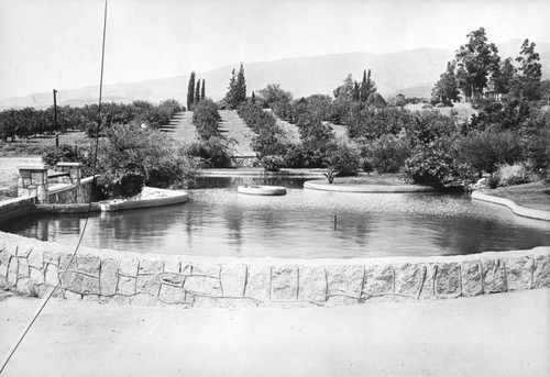 Pond at C.C. Warren home