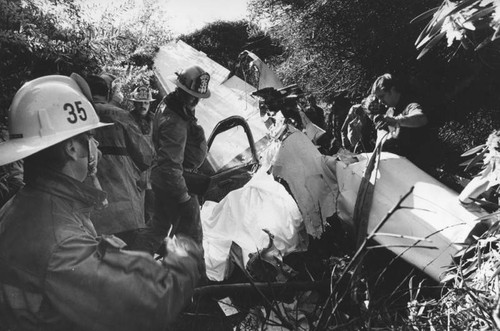 Light airplane wreckage in dense foliage