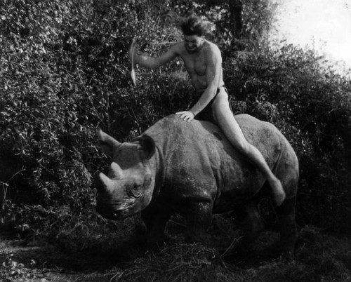 Weissmuller on a rhinoceros