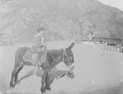 Young boy on a mule