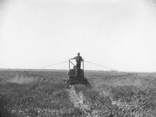 Sacramento Delta irrigation