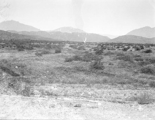 Littlerock, Antelope Valley