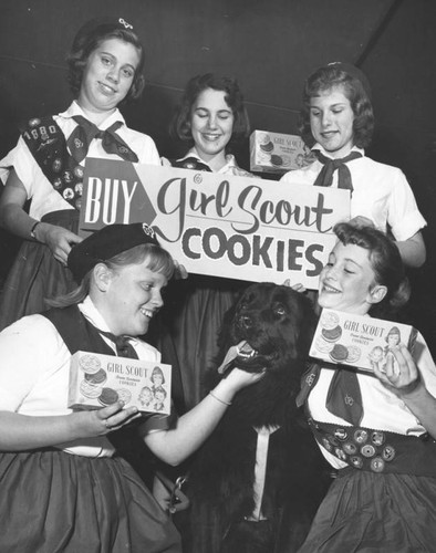 Girl Scout cookie sale