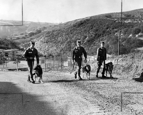 Guards, dogs patrol Nike site