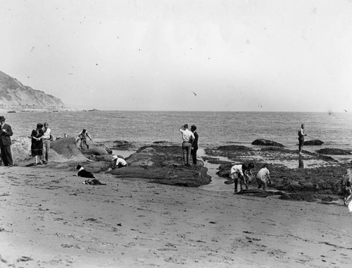 Beach clam hunting