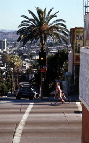 Sunset Boulevard and Larrabee Street