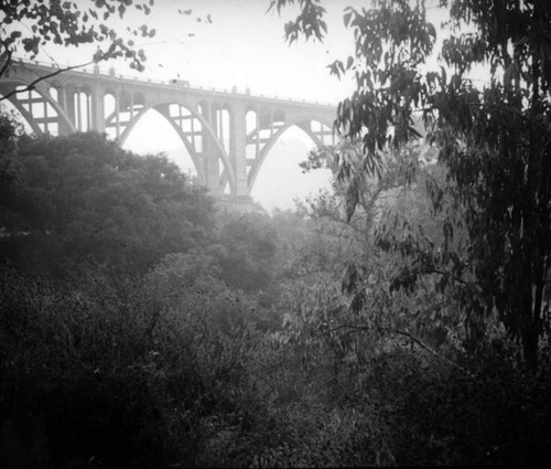 Colorado Street Bridge through the Arroyo