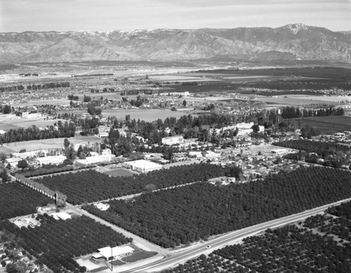 College of Medical Evangelists, Loma Linda, looking northeast