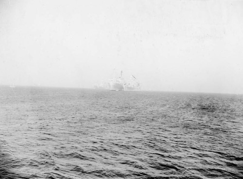 Naval ships in the harbor