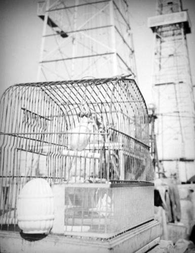 Bird cage at the Venice Oil Field