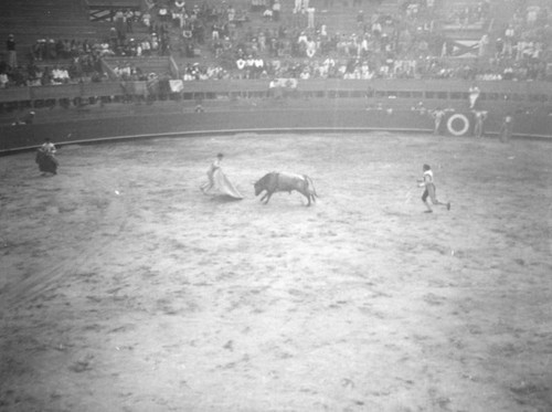 Toro versus Torero, El Toreo de Tijuana