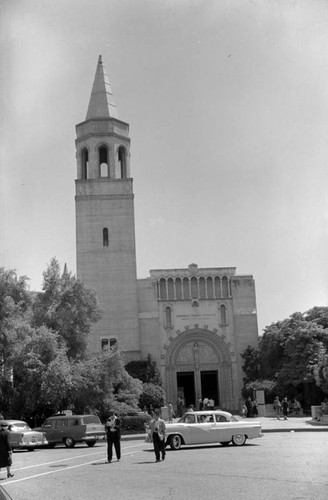 Forest Lawn