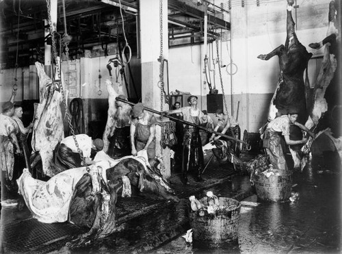 Skinning beef at Cudahy Packing Co