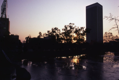 La Brea Tar Pits at sunset