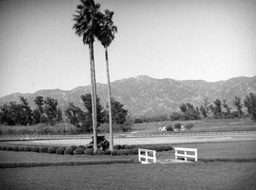 Palm trees and floral art, Santa Anita Racetrack