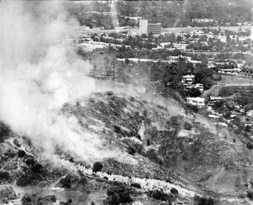 Flames across hillside in Laurel Canyon blaze