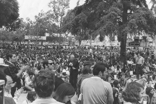 Large crowd of anti-war protesters gather in park