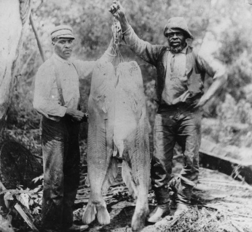 Fishermen with oversized catch