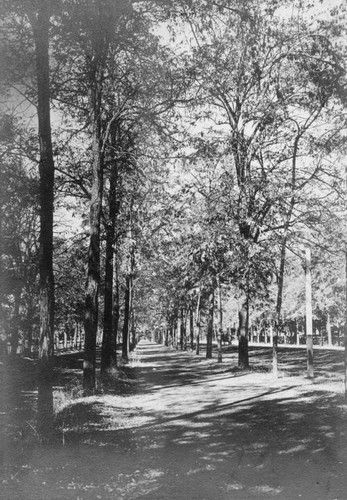 Chico bicycle path