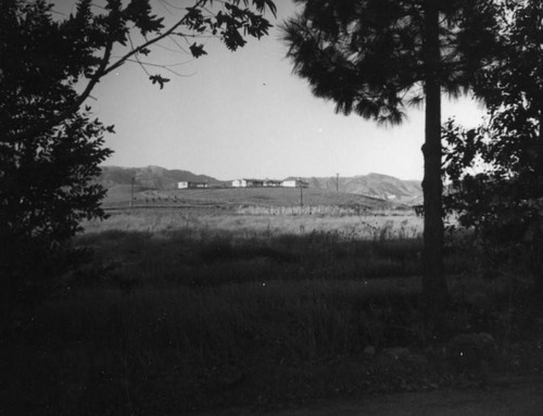 Buildings on a hill