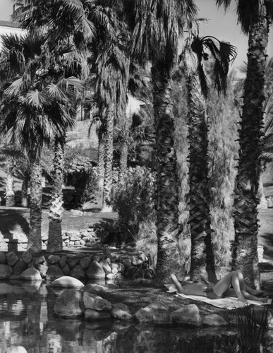 Palm garden at Death Valley's Furnace Creek Inn