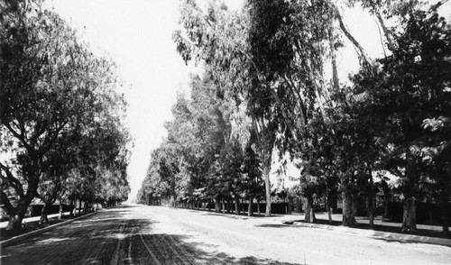 West Adams Boulevard